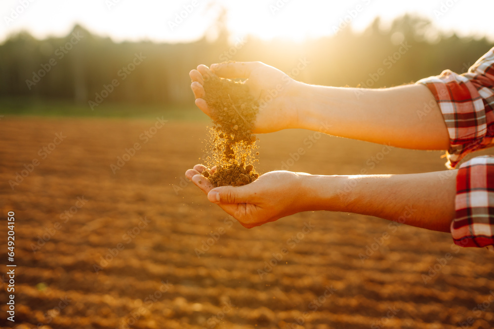 Farmers hands check the quality and health of the soil before sowing. Concept of gardening, ecology.