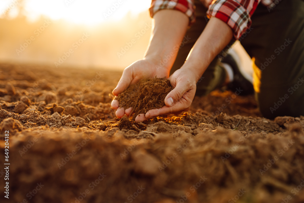 Farmers hands check the quality and health of the soil before sowing. Concept of gardening, ecology.