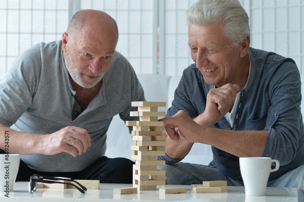 Two old men sitting at table and playing with wooden blocks