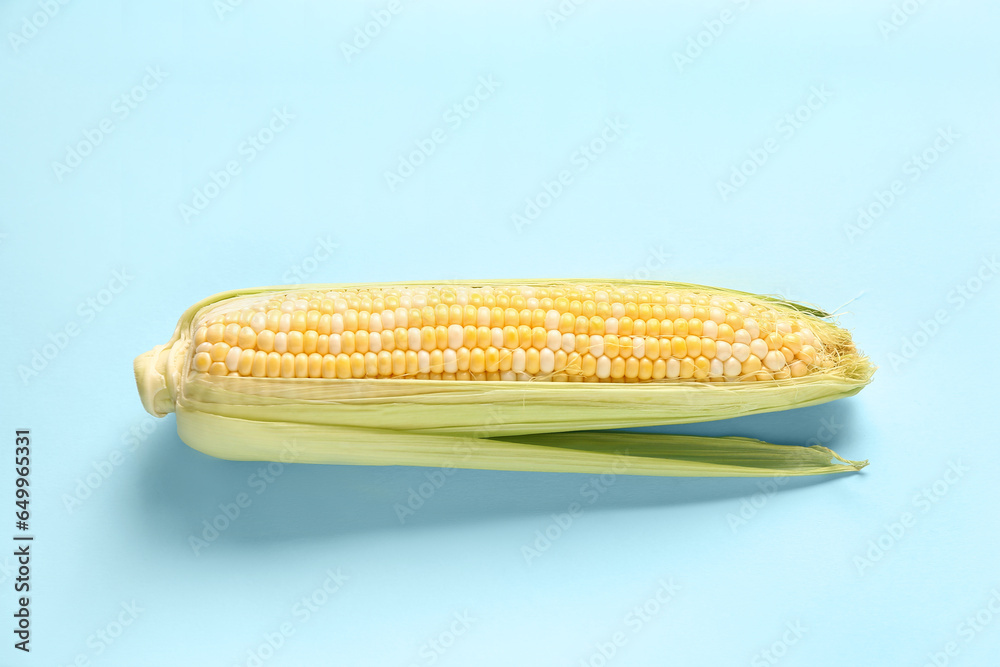 Fresh corn cob on blue background