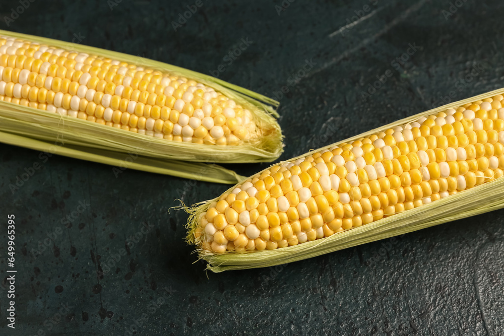 Fresh corn cobs on black background