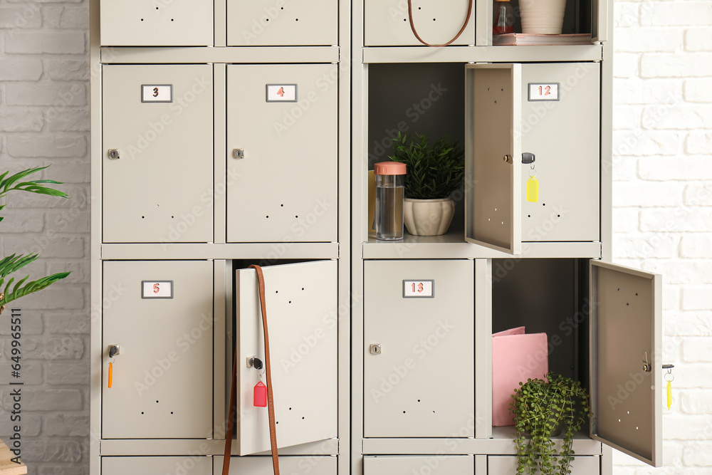 Modern locker with plants near white brick wall