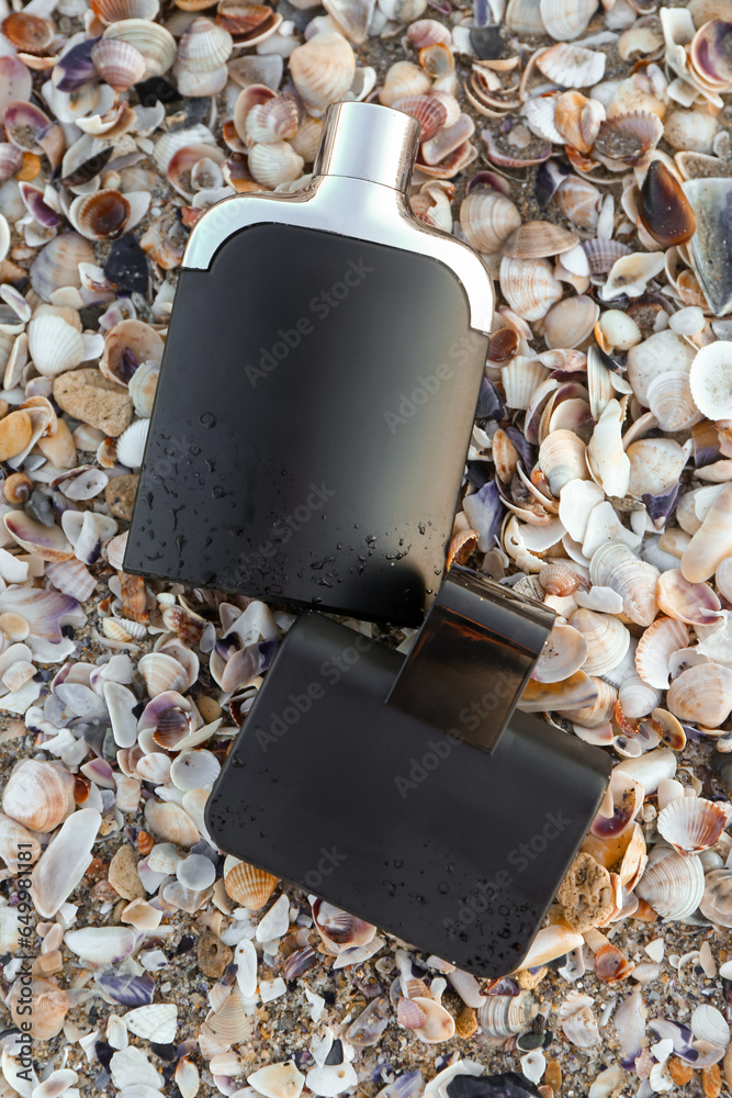 Different bottles of aromatic perfume and seashells on beach sand