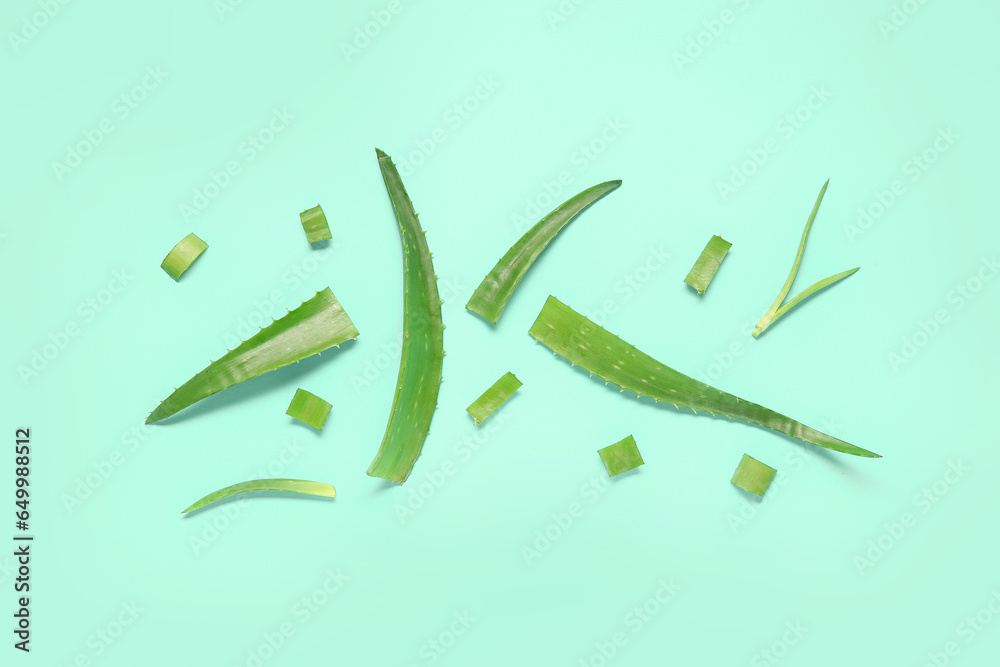 Aloe vera leaves and slices on turquoise background