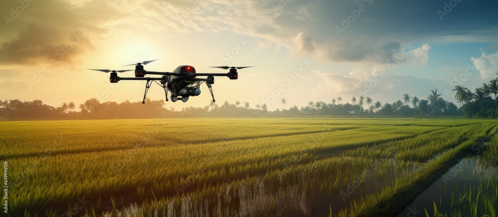 Agricultural drone applies fertilizer to rice fields in industrial farming and smart farming