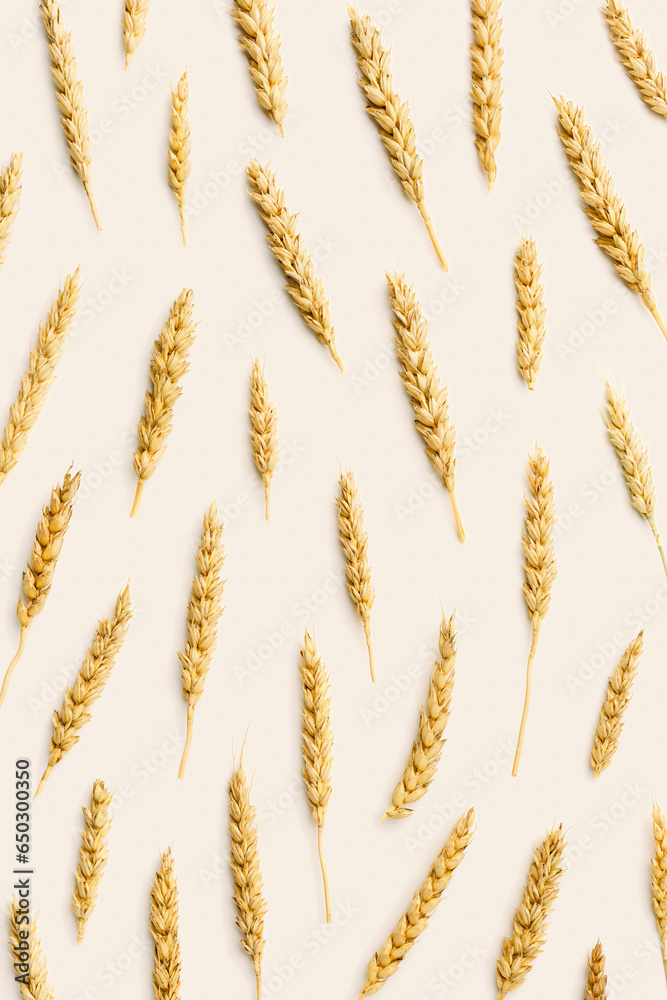 Minimal Pattern with ears of wheat, close up golden yellow wheat spikelets, natural texture food background. Top view composition, autumn season crop cereals, monochrome color creative vertical