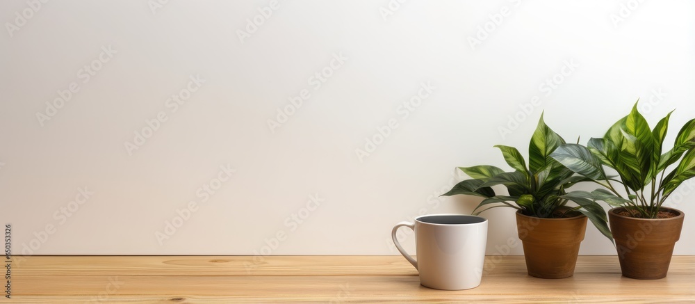 Wooden desk with coffee mug plant and available workspace