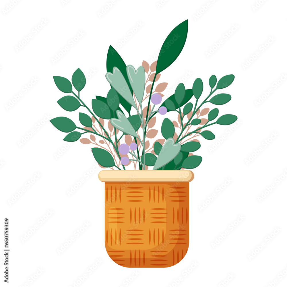 Vector house plants in flower pot isolated on white background. Vector plants in a flat style, standing in a wicker pot.