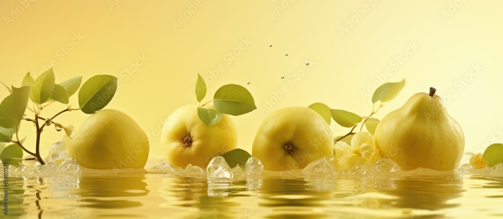 Autumn scene of washing quinces in water with shadows and reflections on a yellow green background Minimal flat lay of organic raw fruit promoting a natural healthy food idea