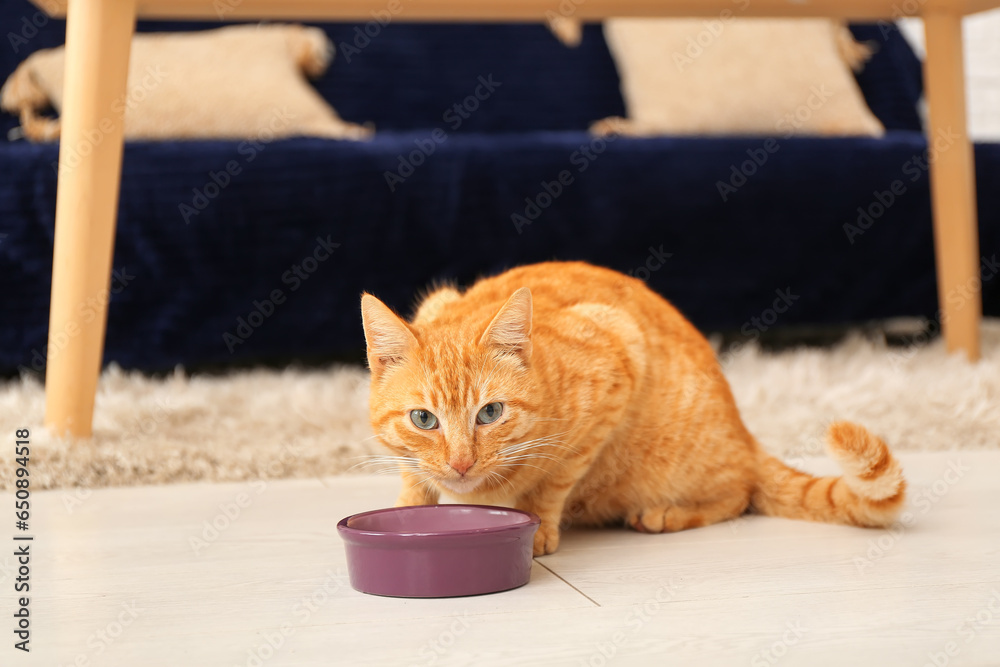 Cute ginger cat eating from bowl at home