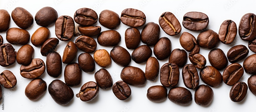 Coffee beans on white background for text space