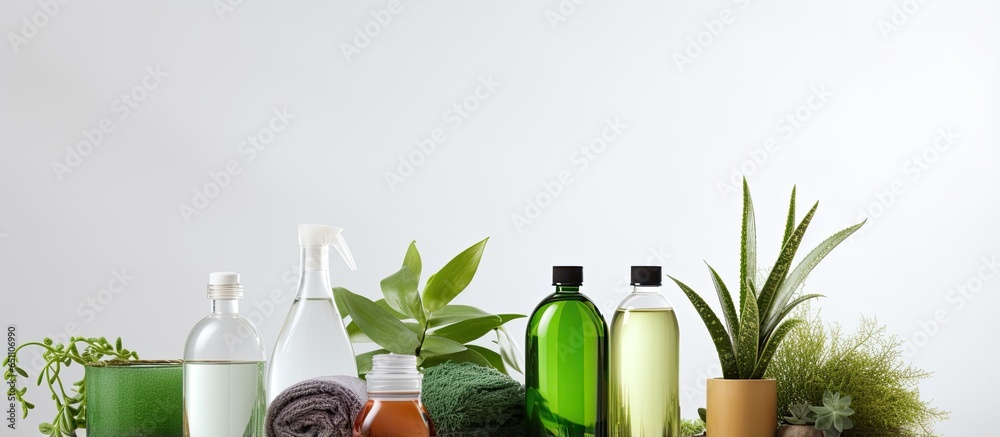 Eco cleaning products on white background