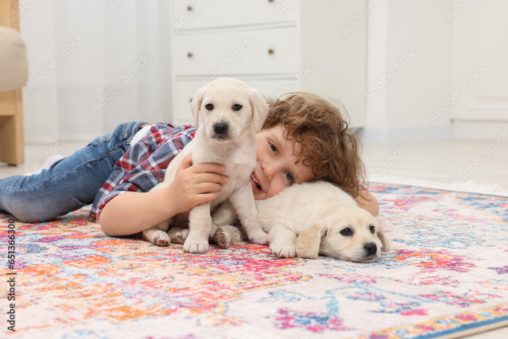 Little boy with cute puppies on carpet at home