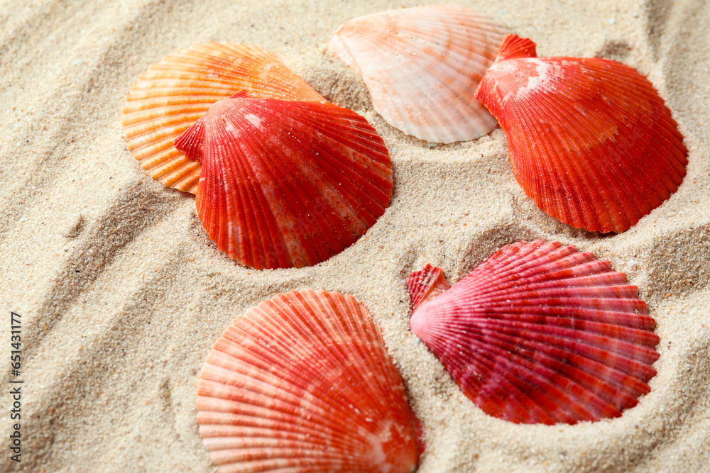 Pink seashells on sandy beach