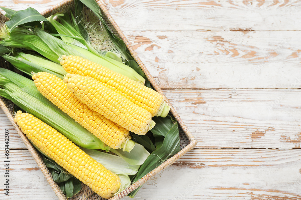 Wicker basket with fresh corn cobs on white wooden table