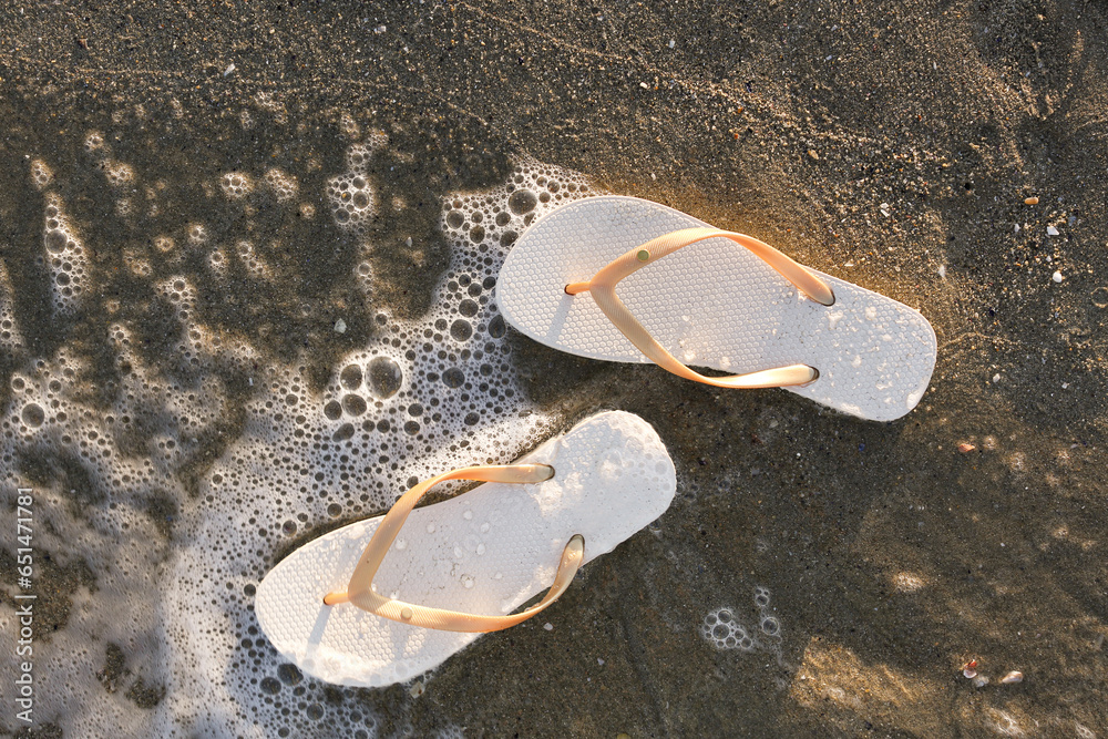 Stylish female flip flops on sea shore