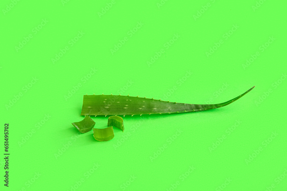 Aloe vera leaf and slices on green background