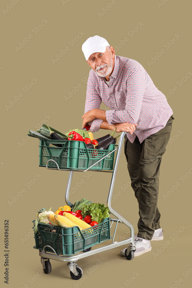 Mature male farmer with shopping cart full of different ripe vegetables on green background