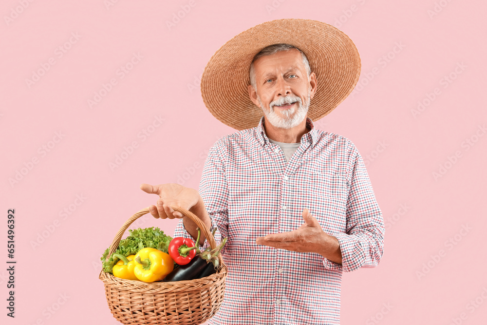 Mature male farmer pointing at wicker basket full of different ripe vegetables on pink background