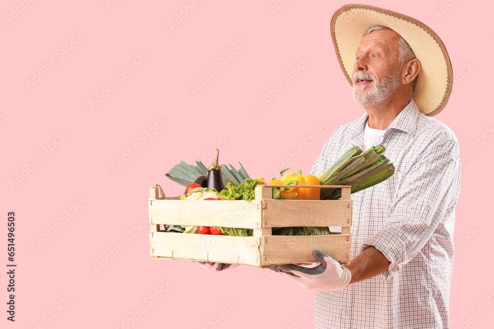 Happy mature male farmer with wooden box full of different ripe vegetables on pink background