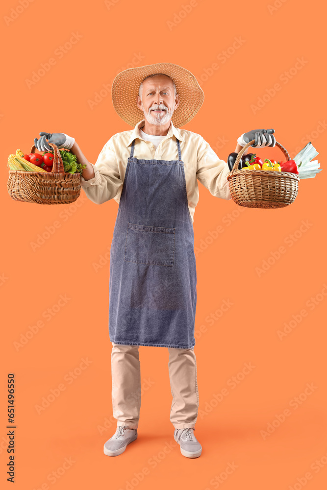 Mature male farmer with wicker baskets full of different ripe vegetables on orange background