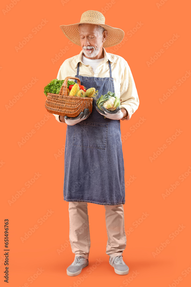 Mature male farmer with wicker basket full of different ripe vegetables on orange background