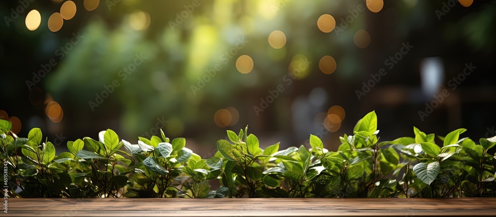 Table made of wood with bokeh light effect and outdoor garden featuring green leaves in the blurry background