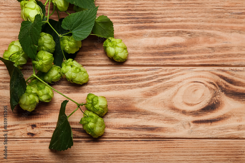 Fresh green hops and leaves on wooden background