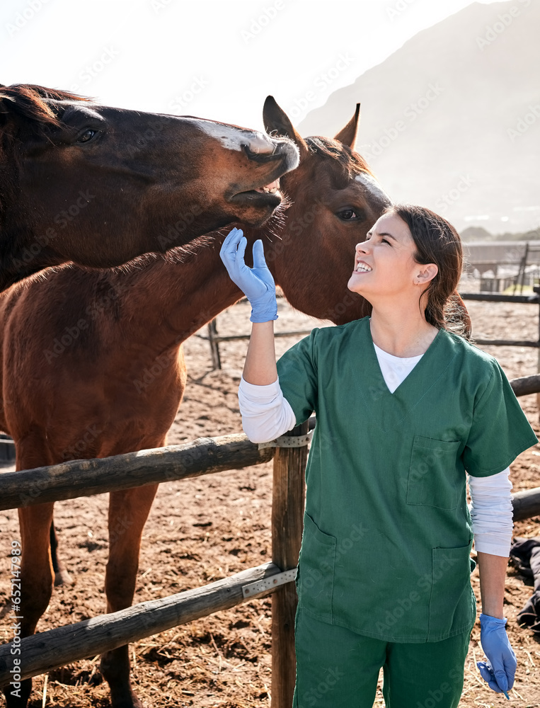 Vet, ranch and doctor with care for horse for medical examination, research and health check. Healthcare, animal care and happy woman nurse on farm for inspection, wellness and veterinary treatment