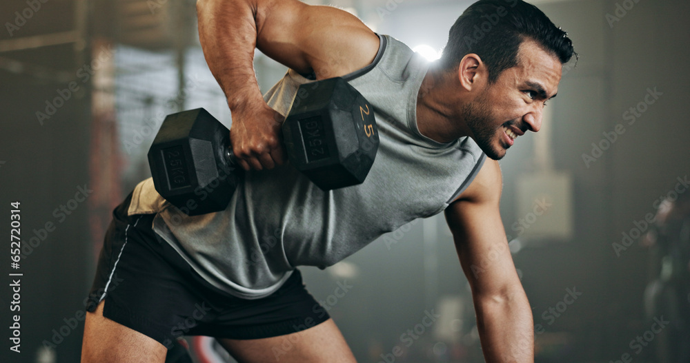 Man, dumbbell and weightlifting in fitness, workout or arm exercise on bench at indoor gym. Serious male person, bodybuilder or athlete lifting weight in sports training, health and wellness at club