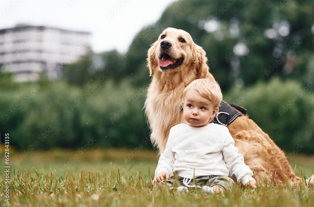 Sitting on the ground. Little boy with golden retriever dog on the field