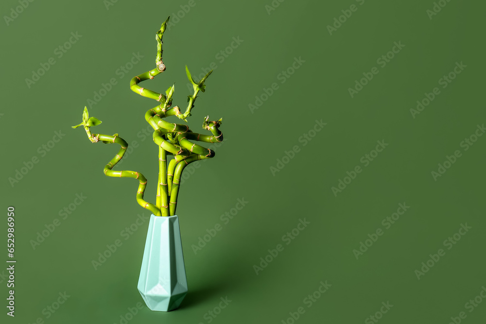 Bamboo plant in vase on green background