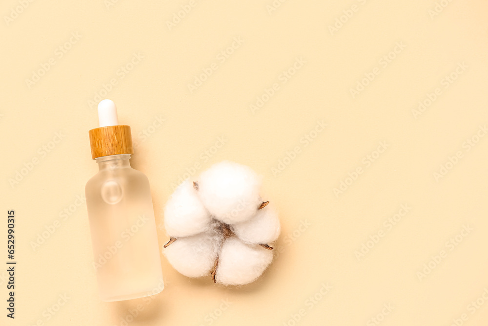 Bottle of essential oil and cotton flower on color background