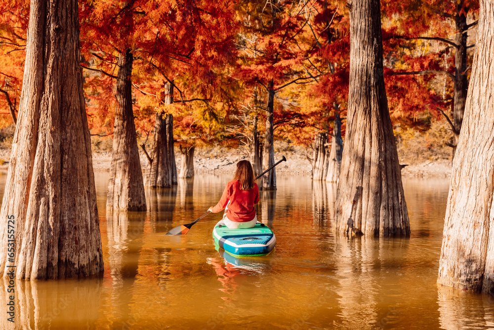 Adventure on stand up paddle board with woman at quiet river between Taxodium trees in autumnal season. SUP boarding on a quiet lake