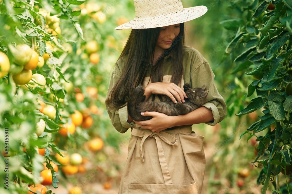 Holding cute kitten in hands. Little girl is in the garden with tomatoes