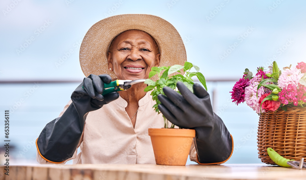 Agriculture, senior and black woman with plant in garden and happiness outdoor in nature for spring, flowers and growth. Smile, person and leaves in backyard of home for vegetable care or gardening