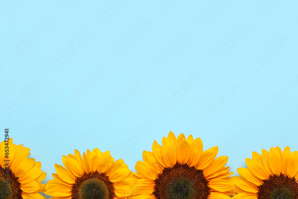 Beautiful sunflowers on blue background