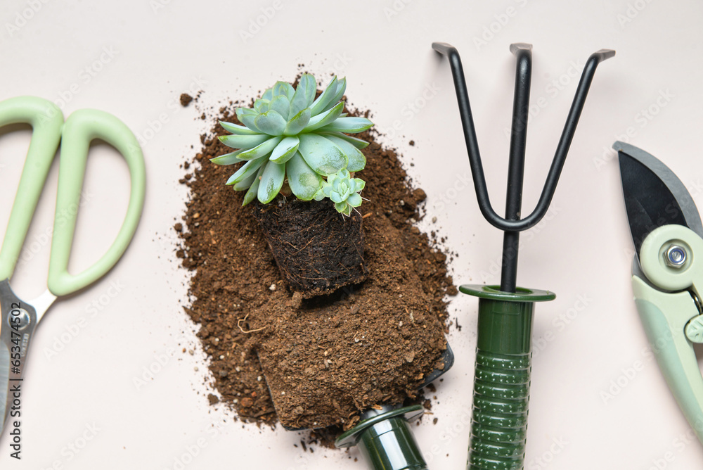 Gardening rake, shovel with soil and plant on white background