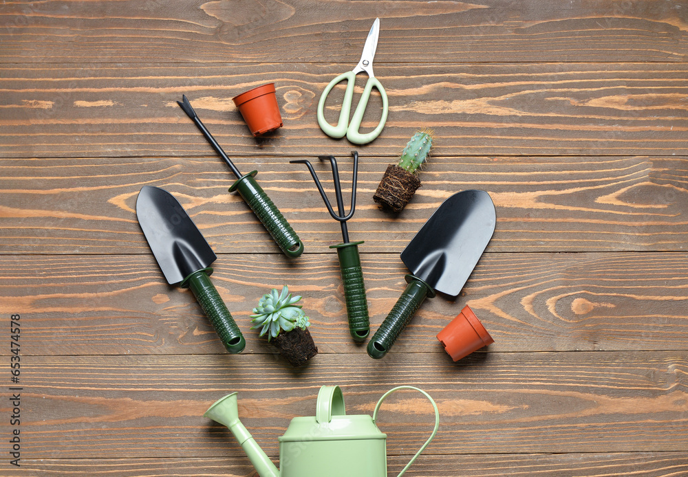 Composition with gardening tools and plants on brown wooden background