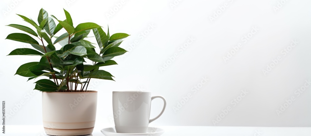 Minimal cozy home with a white desk green plant pot and coffee with cookies