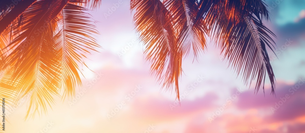 Silhouette palm tree on sunset sky with abstract background Summer travel concept