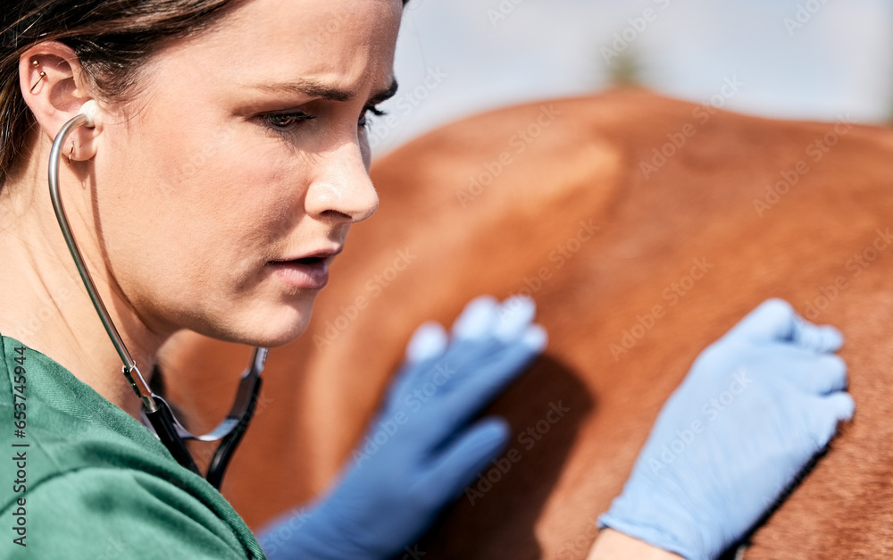 Vet, stethoscope and horse with wellness, healthcare and support with animal in countryside. Woman helping with heart rate and monitoring outdoor with stress and anxiety from veterinarian inspection