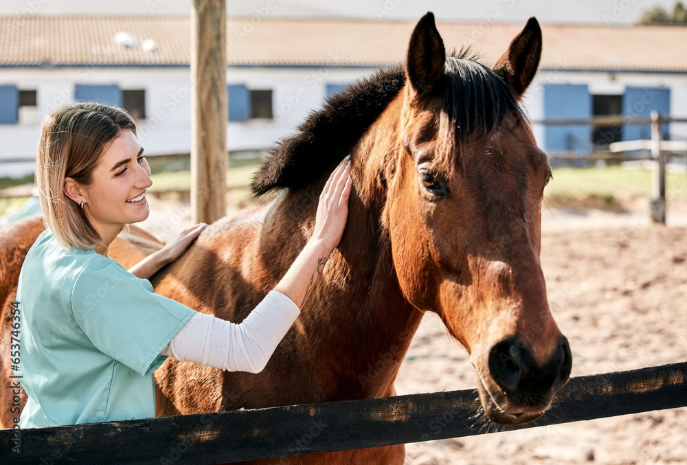 Horse doctor, care and smile at farm for health, care or happy with love for animal in nature. Vet, woman and stroke for equine healthcare expert in sunshine, countryside or help for wellness outdoor