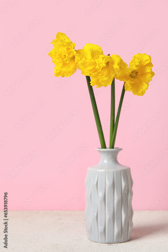 Vase with narcissus flowers on table near pink wall