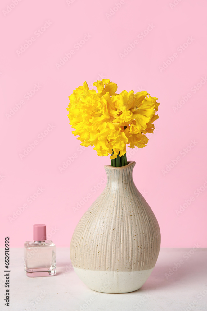 Vase with narcissus flowers and perfume on table near pink wall