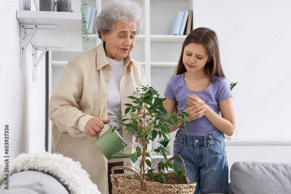 Little girl with her grandmother watering houseplant at home