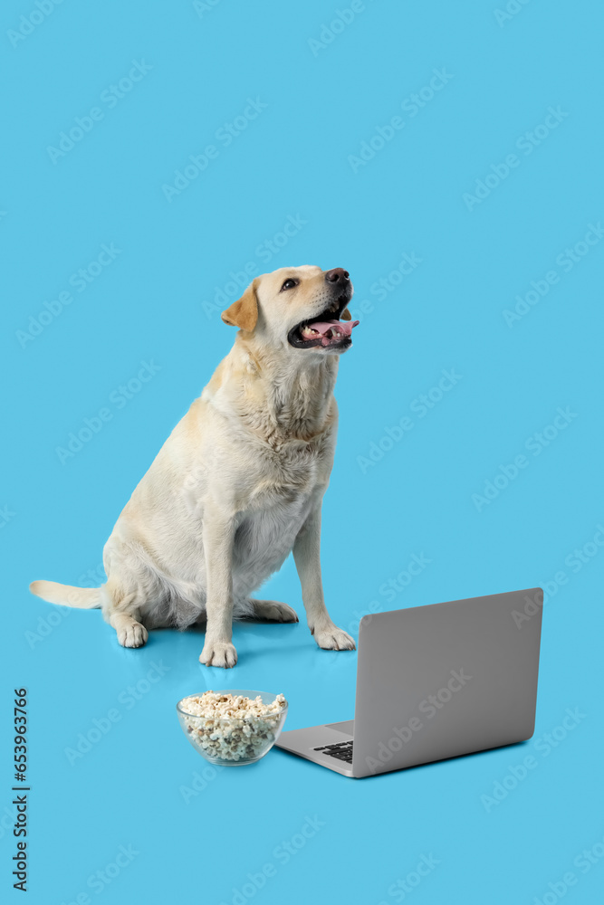 Cute Labrador dog with bowl of popcorn and laptop sitting on blue background