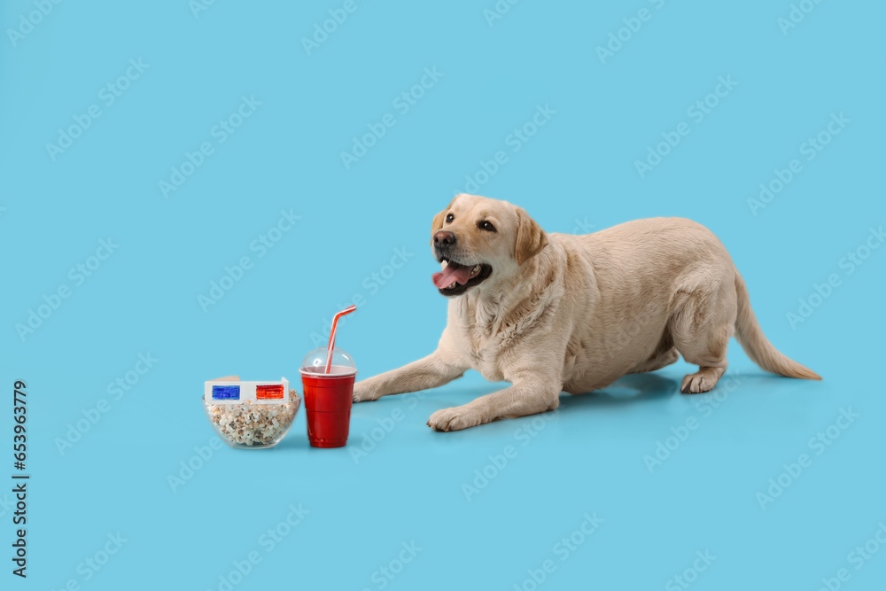 Cute Labrador dog with bowl of popcorn, soda and 3D cinema glasses lying on blue background