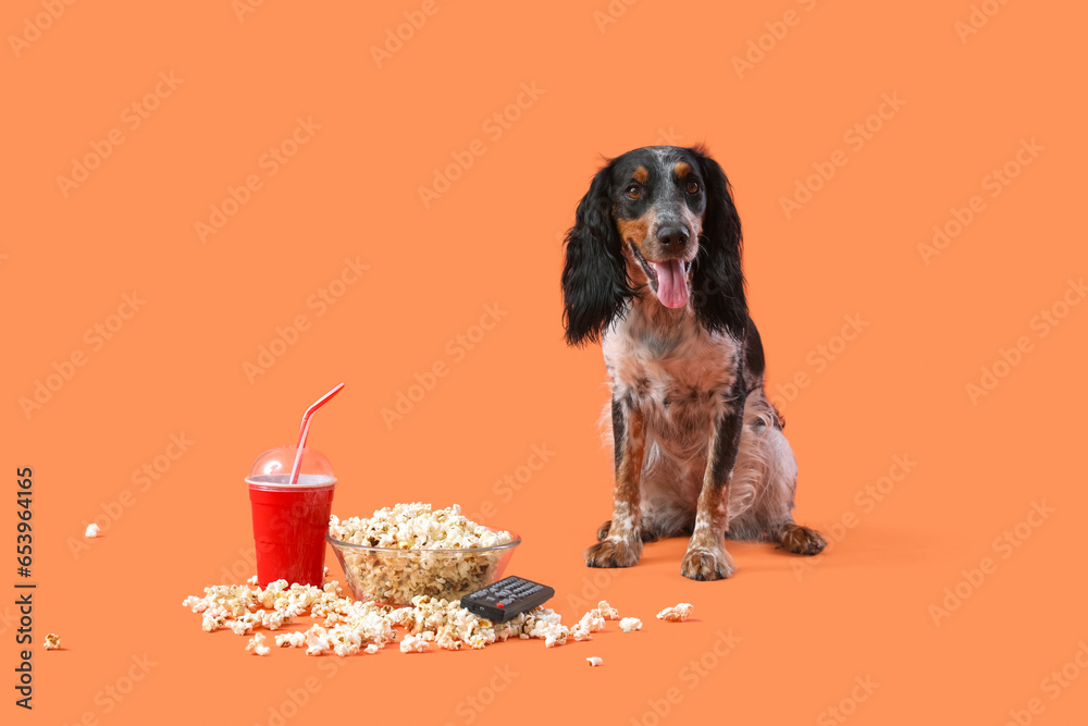 Cute cocker spaniel dog with bowl of popcorn, soda and TV remote sitting on orange background