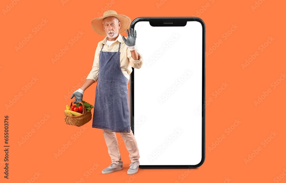 Big smartphone and mature male farmer with basket full of ripe vegetables on orange background